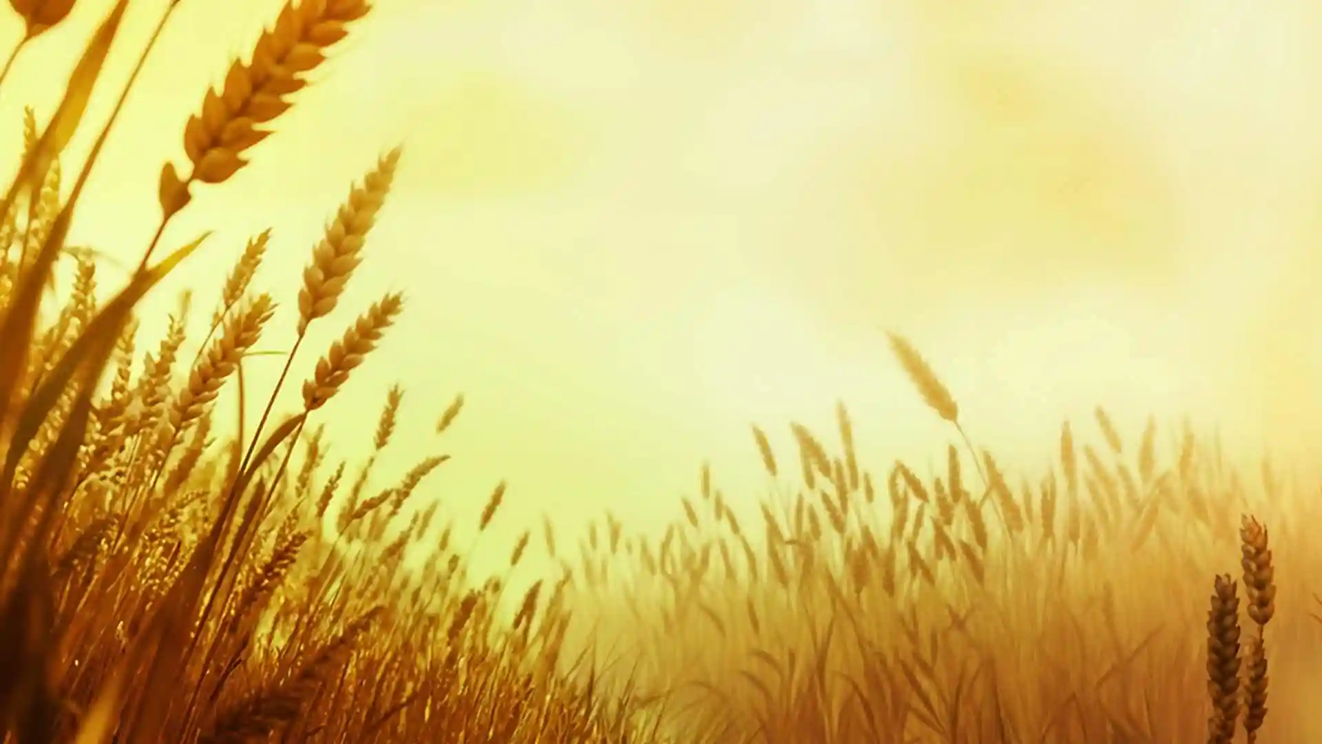 game-background