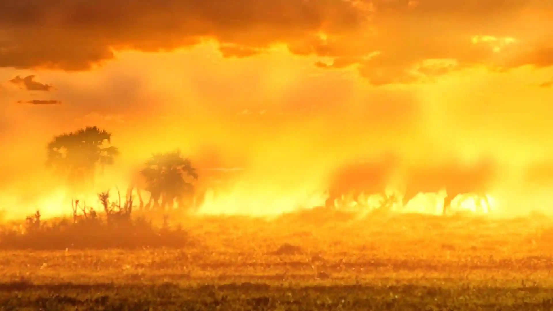 game-background