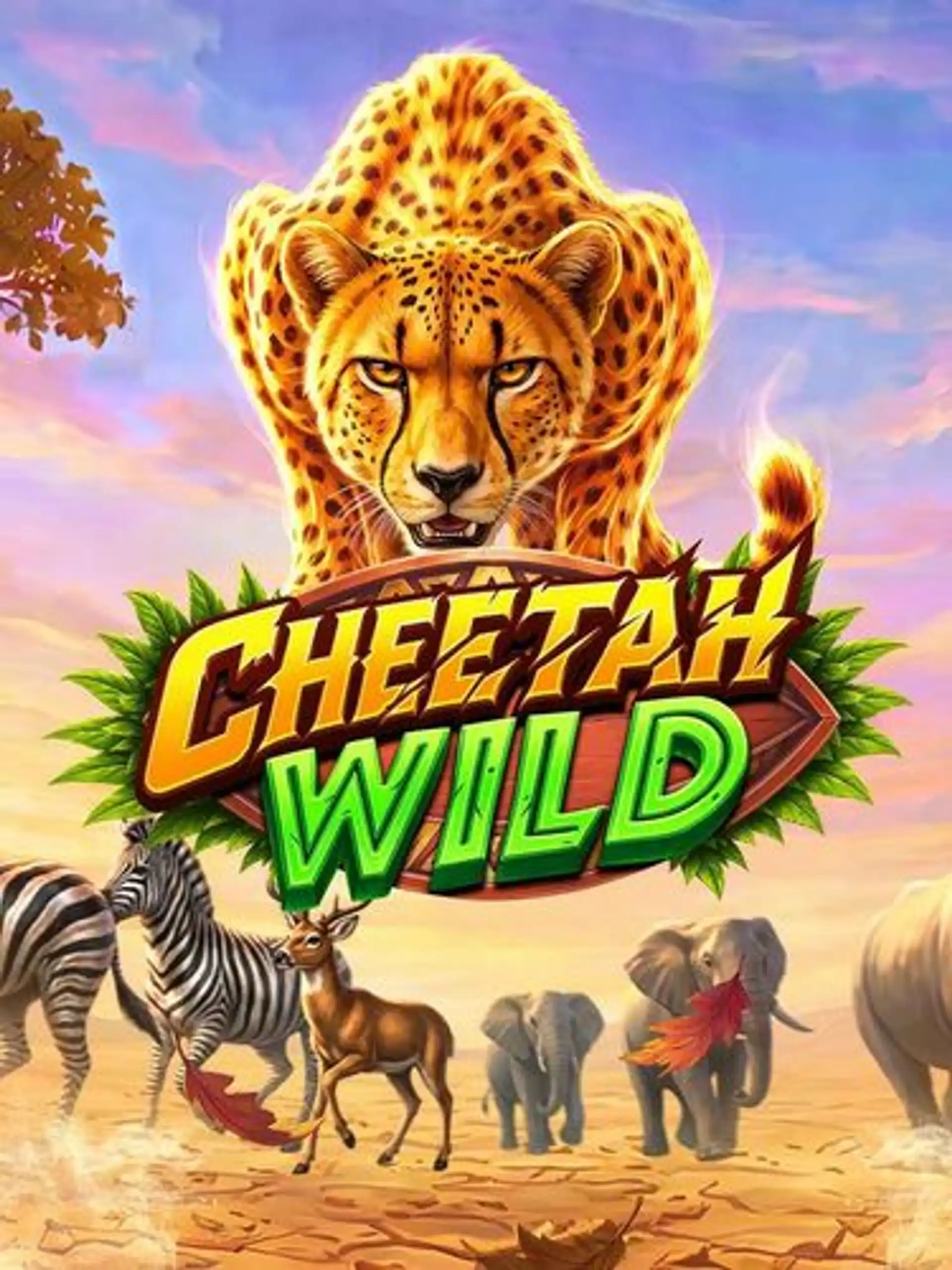 cheetah-wild_thumbnail