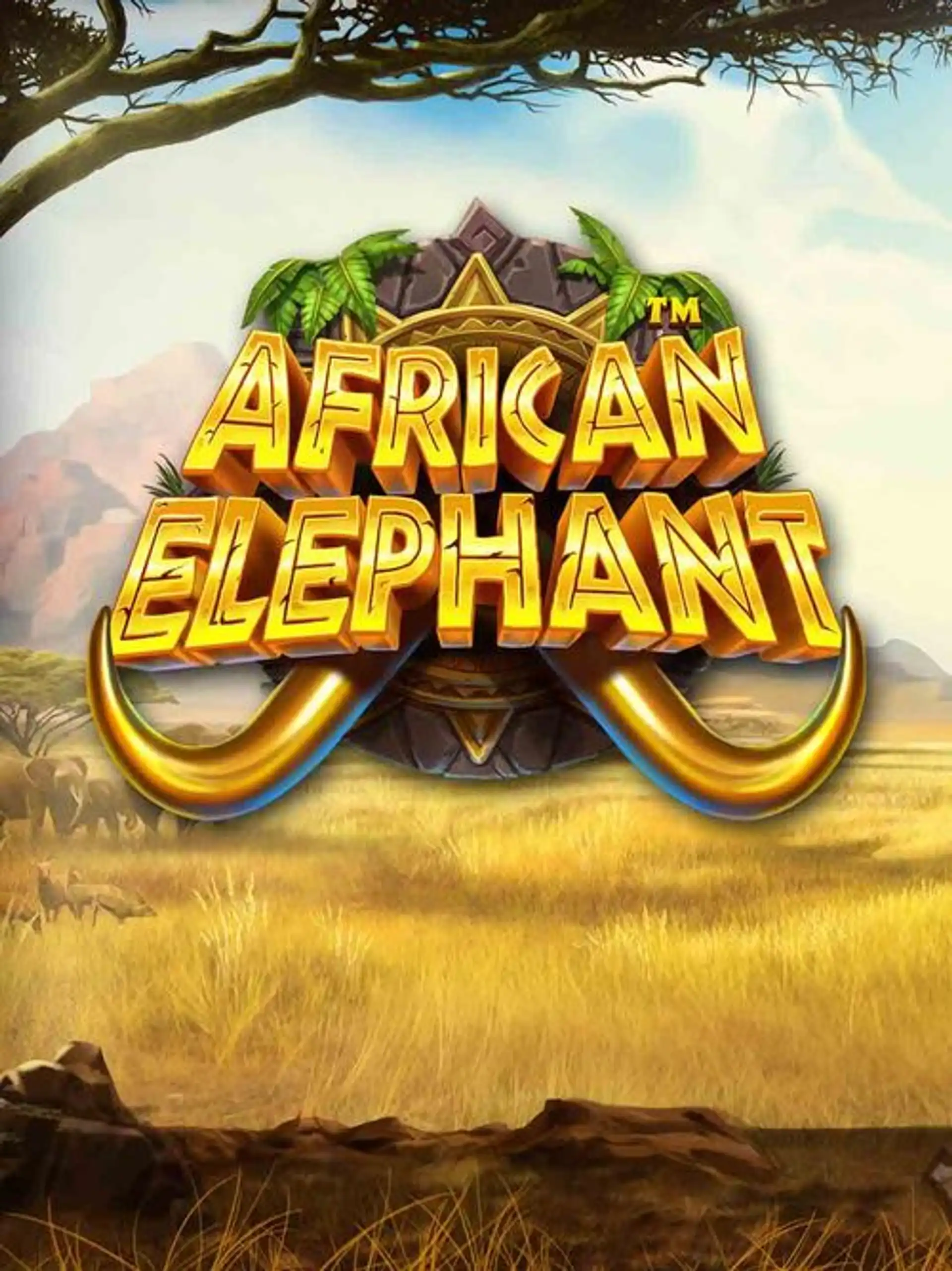 african-elephant