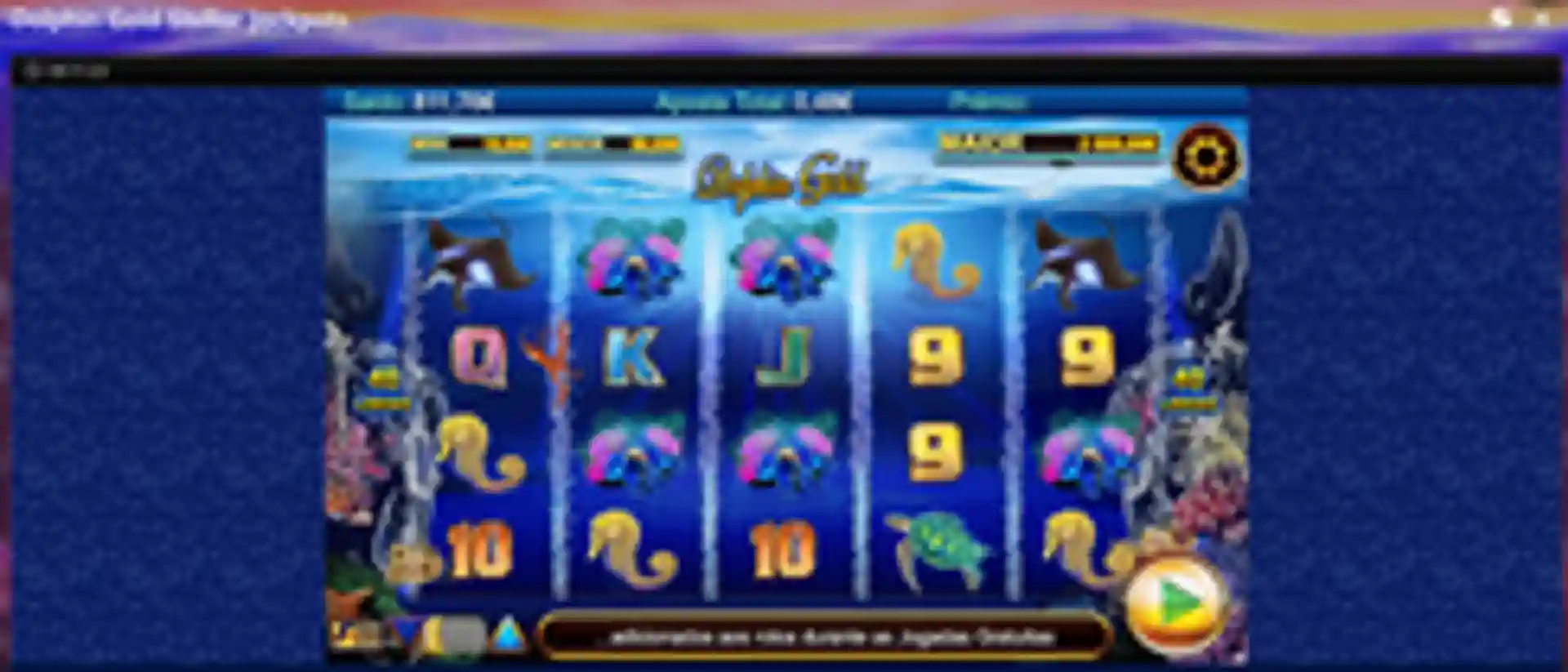 dolphin-gold-stellar-jackpots-gameplay