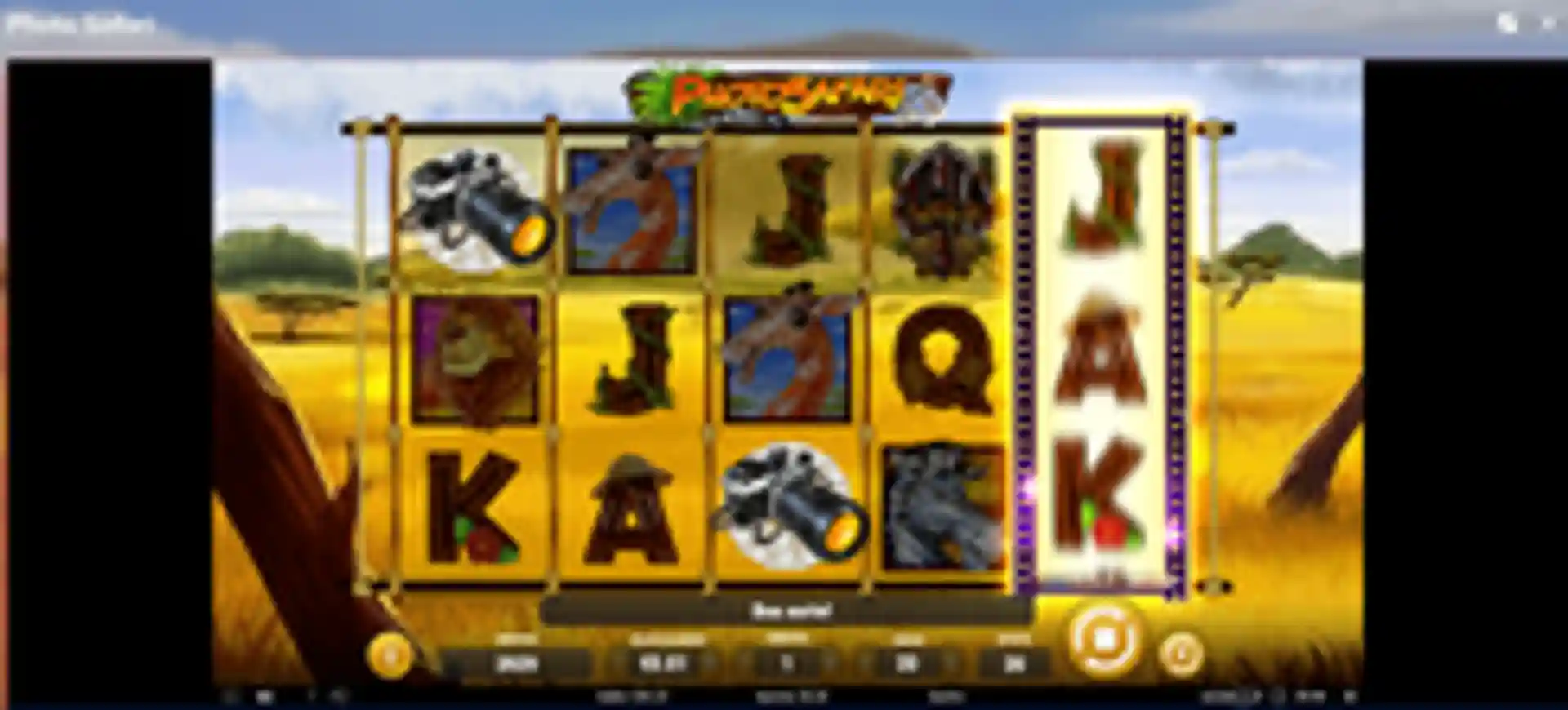 photo-safari-gameplay